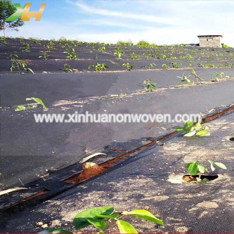 non woven fabric environmentally friendly