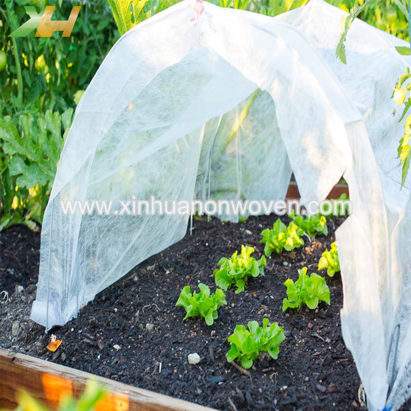 non woven biodegradable fabric