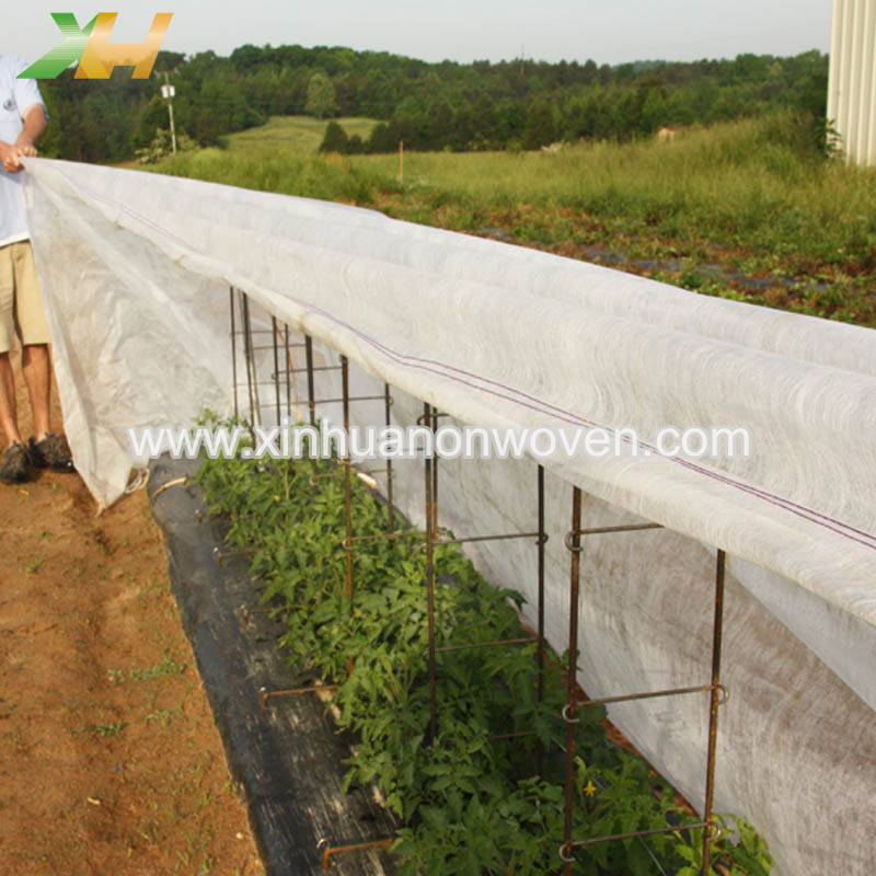 Perché in agricoltura si utilizzano tessuti non tessuti?