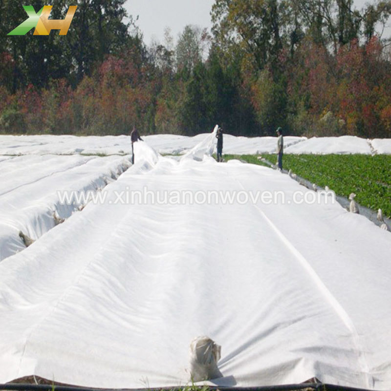 non woven floating row cover